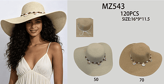 CHAPEU DE PRAIA